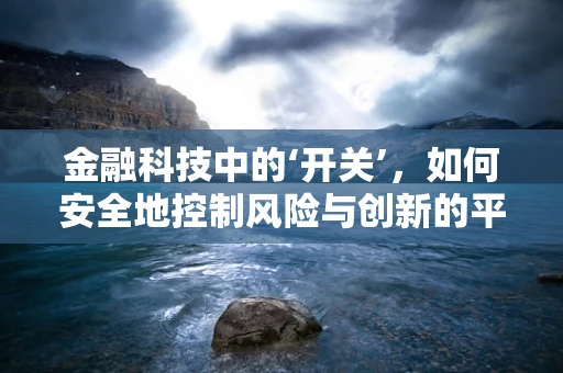 金融科技中的‘开关’，如何安全地控制风险与创新的平衡？