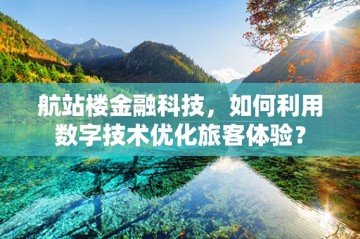 航站楼金融科技，如何利用数字技术优化旅客体验？