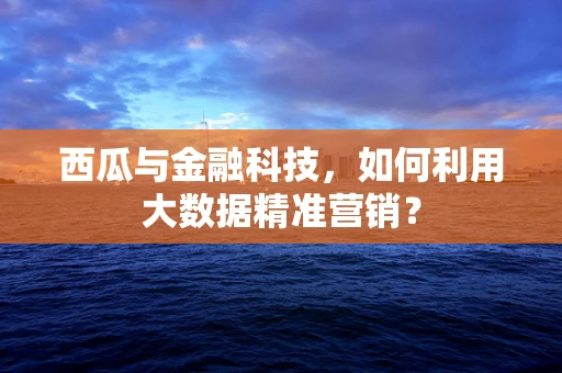 西瓜与金融科技，如何利用大数据精准营销？
