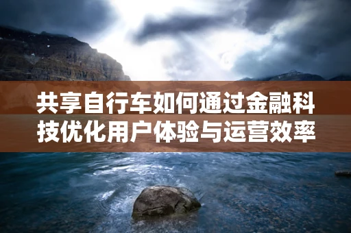 共享自行车如何通过金融科技优化用户体验与运营效率？