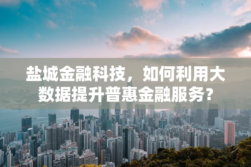 盐城金融科技，如何利用大数据提升普惠金融服务？
