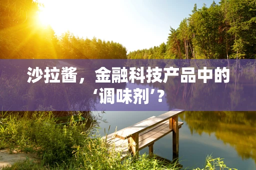 沙拉酱，金融科技产品中的‘调味剂’？