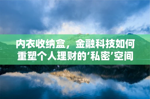 内衣收纳盒，金融科技如何重塑个人理财的‘私密’空间？