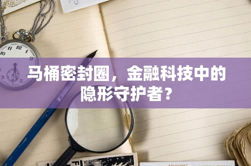 马桶密封圈，金融科技中的隐形守护者？