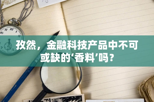 孜然，金融科技产品中不可或缺的‘香料’吗？