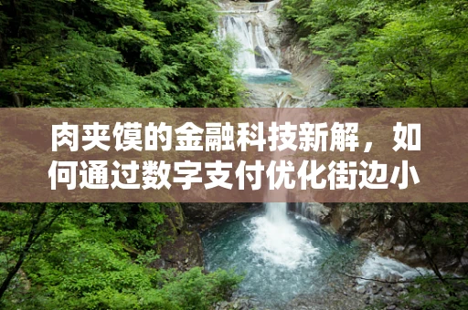 肉夹馍的金融科技新解，如何通过数字支付优化街边小吃体验？
