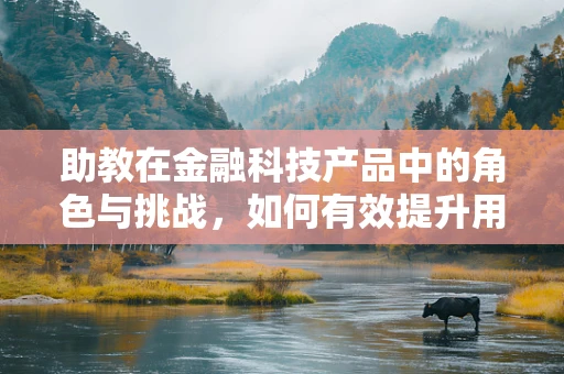 助教在金融科技产品中的角色与挑战，如何有效提升用户体验？