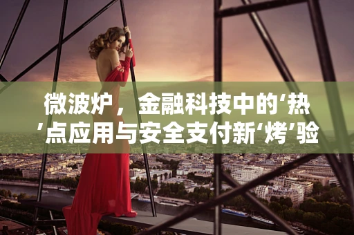 微波炉，金融科技中的‘热’点应用与安全支付新‘烤’验