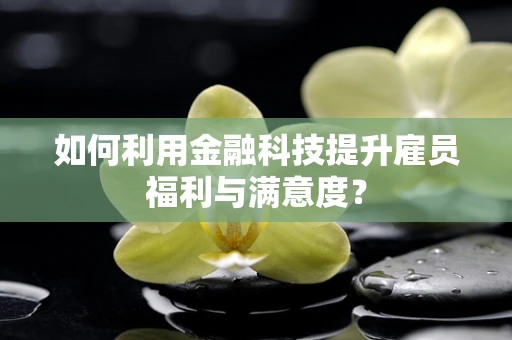 如何利用金融科技提升雇员福利与满意度？