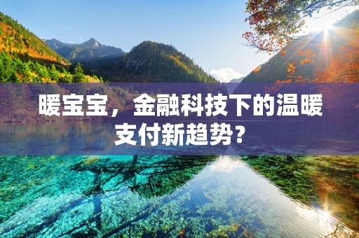 暖宝宝，金融科技下的温暖支付新趋势？