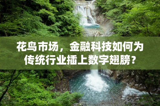 花鸟市场，金融科技如何为传统行业插上数字翅膀？