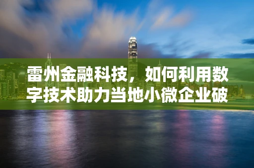 雷州金融科技，如何利用数字技术助力当地小微企业破局？