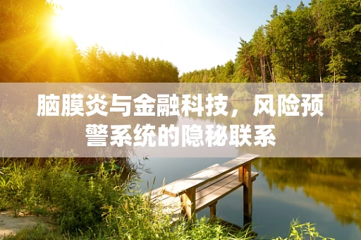 脑膜炎与金融科技，风险预警系统的隐秘联系