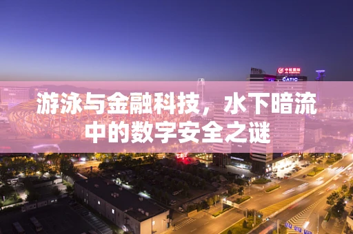 游泳与金融科技，水下暗流中的数字安全之谜