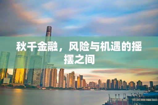 秋千金融，风险与机遇的摇摆之间