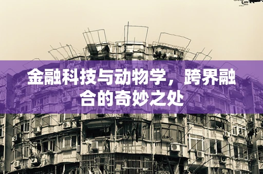 金融科技与动物学，跨界融合的奇妙之处