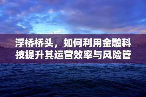 浮桥桥头，如何利用金融科技提升其运营效率与风险管理？