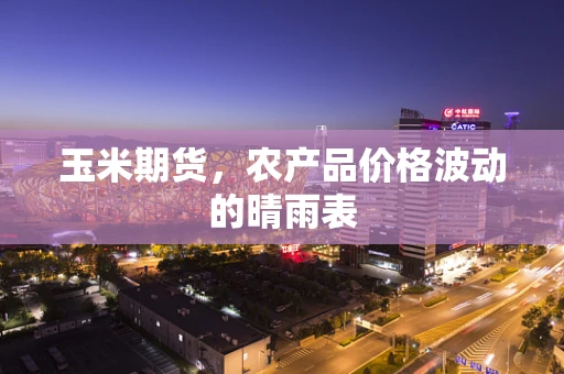 玉米期货，农产品价格波动的晴雨表