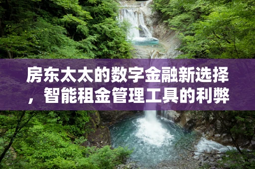 房东太太的数字金融新选择，智能租金管理工具的利弊分析？