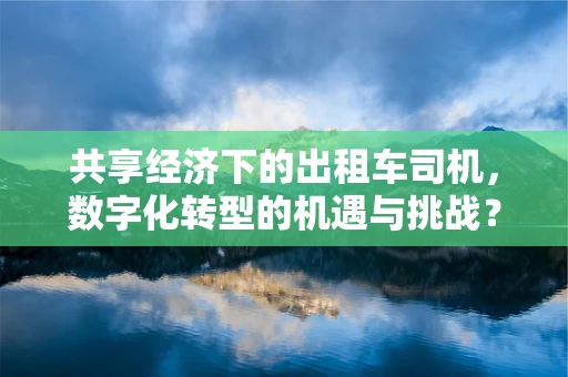 共享经济下的出租车司机，数字化转型的机遇与挑战？