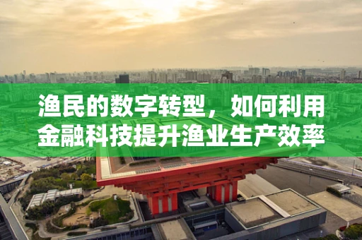 渔民的数字转型，如何利用金融科技提升渔业生产效率？