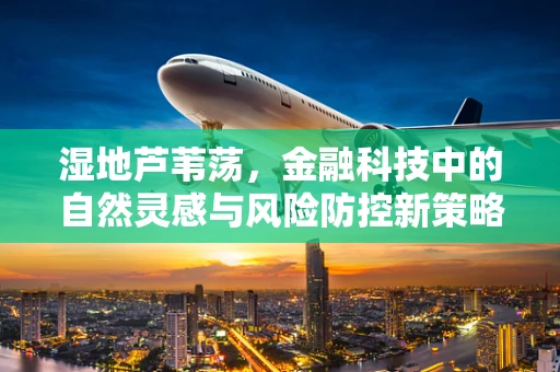 湿地芦苇荡，金融科技中的自然灵感与风险防控新策略？