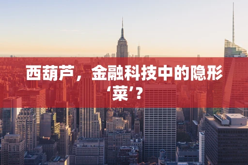 西葫芦，金融科技中的隐形‘菜’？