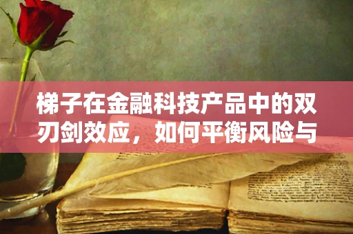 梯子在金融科技产品中的双刃剑效应，如何平衡风险与效率？