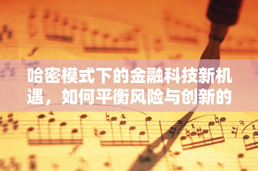 哈密模式下的金融科技新机遇，如何平衡风险与创新的边界？