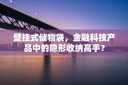 壁挂式储物袋，金融科技产品中的隐形收纳高手？