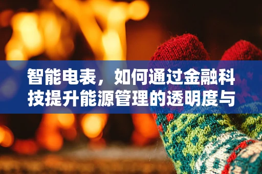 智能电表，如何通过金融科技提升能源管理的透明度与效率？