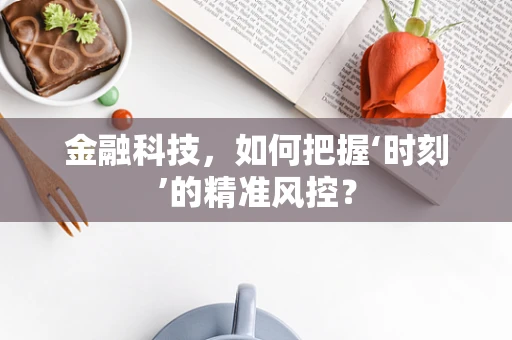 金融科技，如何把握‘时刻’的精准风控？