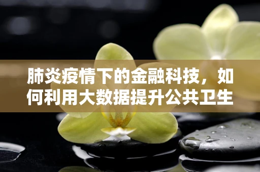 肺炎疫情下的金融科技，如何利用大数据提升公共卫生应急响应效率？