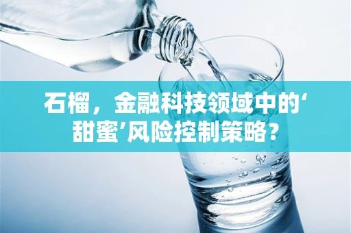 石榴，金融科技领域中的‘甜蜜’风险控制策略？