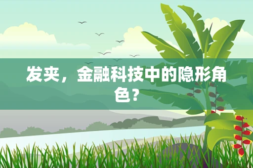 发夹，金融科技中的隐形角色？