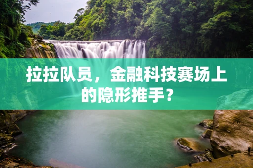 拉拉队员，金融科技赛场上的隐形推手？