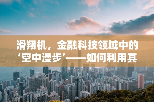 滑翔机，金融科技领域中的‘空中漫步’——如何利用其原理优化风险控制策略？