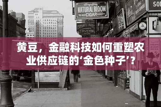 黄豆，金融科技如何重塑农业供应链的‘金色种子’？