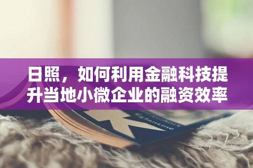 日照，如何利用金融科技提升当地小微企业的融资效率？