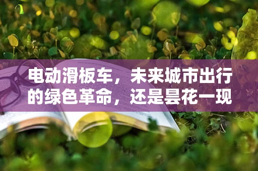 电动滑板车，未来城市出行的绿色革命，还是昙花一现的时尚玩具？