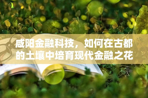 咸阳金融科技，如何在古都的土壤中培育现代金融之花？
