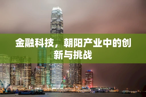 金融科技，朝阳产业中的创新与挑战