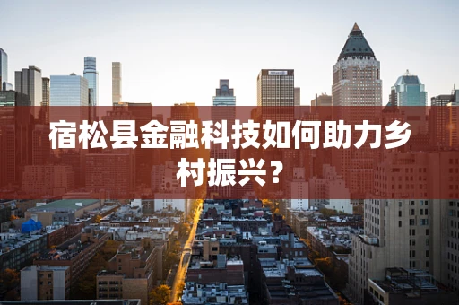 宿松县金融科技如何助力乡村振兴？