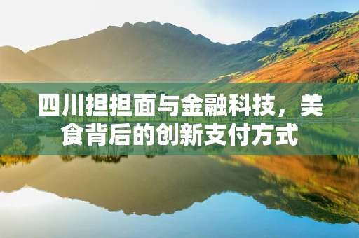 四川担担面与金融科技，美食背后的创新支付方式