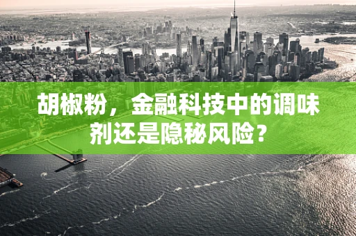 胡椒粉，金融科技中的调味剂还是隐秘风险？