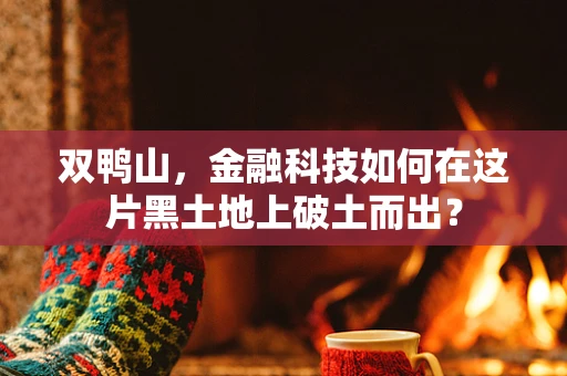 双鸭山，金融科技如何在这片黑土地上破土而出？