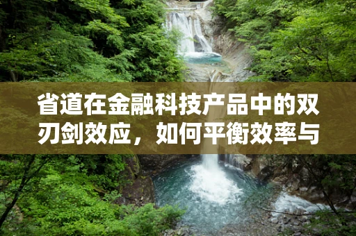 省道在金融科技产品中的双刃剑效应，如何平衡效率与合规？