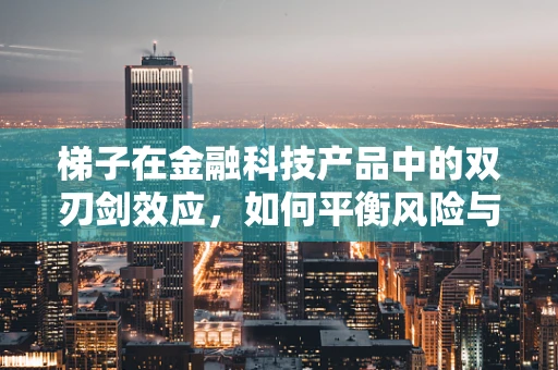 梯子在金融科技产品中的双刃剑效应，如何平衡风险与效率？