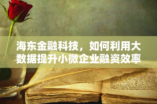 海东金融科技，如何利用大数据提升小微企业融资效率？