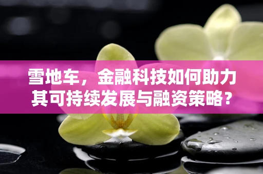 雪地车，金融科技如何助力其可持续发展与融资策略？